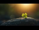 【BGM 】Good Luck【フリー音源】