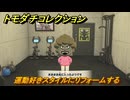 トモダチコレクション　運動好きスタイルにリフォームする　島の住人観察日記（ポケモン編）　＃４００　【トモコレわくわく生活】