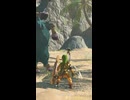 【ティアキン】マクミノ谷のライネル ゼルダの伝説ティアーズオブザキングダム