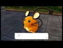 【Pokémon LEGENDS Z-A】30/なんか言いたげだな…