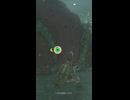 【ティアキン】ヘブラ水源のヒノックス ゼルダの伝説ティアーズオブザキングダム