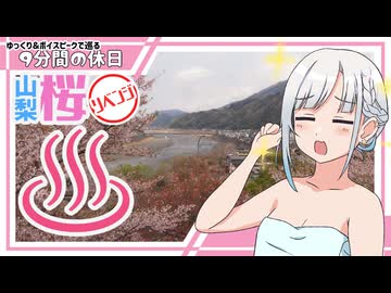 【ゆっくりボイスピ車載】山梨桜巡りリベンジ2026 後編【9分間の休日】