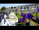 【紡乃世詞音誕生祭2026】つのふたの四方山漫遊記 #19【駅旅投稿祭2026】