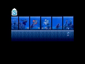 【アクアリウムは踊らない完全版】ビアンカ水族館を最後まで楽しむ(12)【後編】