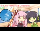 セイあか「皐月の日差しの日光浴」