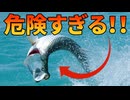 巨大生物ターポンが危険すぎる！！【解説動画】