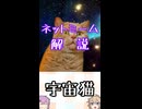 ゆかつむネットミーム解説【宇宙猫】