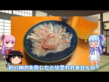 琴葉姉妹と行く釣行記録（海釣り編part46）