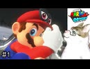 【実況プレイ】このマリオはペットボトルも投げそうだな：スーパーマリオ オデッセイ Part1