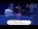 【ぽこあポケモン】発売日から図鑑を完成させるまで【実況】 part23