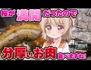 【車載実況】国立大学通りの絶景！オリーブの丘で分厚いお肉！【桜満開】