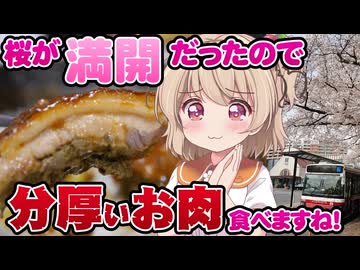 【車載実況】国立大学通りの絶景！オリーブの丘で分厚いお肉！【桜満開】