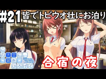 【実況】空と出会い、そして焦がれた この大空に、翼をひろげて(Switch版)をやりまSHOW part21