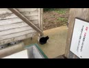 ソロキャンしてみた(森のまきばオートキャンプ場編)後編