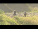 福岡と大分の県境の山国川で中学１年の男子生徒が溺れ死亡