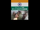 【ミュート】ガンジス川で沐浴配信【2025/2/23】