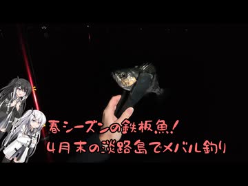 アリミリ姉妹の淡路島海釣り日記Part.41