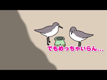 ミユビシギ