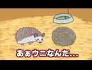 ハリネズミ