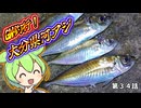 河アジング。大分県。ゴールデンウィーク釣行。第３４話