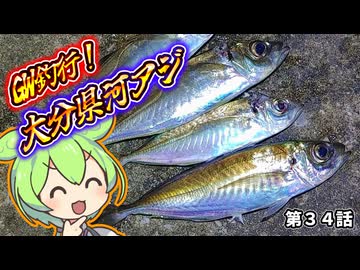 河アジング。大分県。ゴールデンウィーク釣行。第３４話