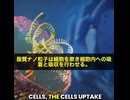 mRNAは、ワクチンではありません。 脂質ナノ粒子が全臓器に到達し、細胞の外膜への親和性を利用して内部へと侵入していきます