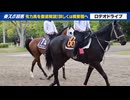 【NHKマイルカップ】出走予定馬のフォトパドック