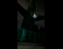 20241109  吹田万博　太陽の塔裏側の顔
