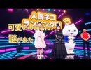人気猫ランキング10 (AI）