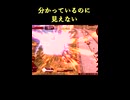 【EXVS2IB】分かっているのに見えない