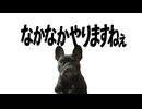 なかなかよろこんで