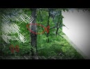 Waking 家の周り -Music Video-