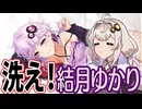 結月ゆかりを洗ってみた【抱き枕カバーのお洗濯】