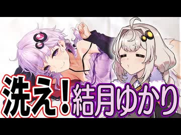 結月ゆかりを洗ってみた【抱き枕カバーのお洗濯】