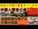 【中国人元警官が亡命し取材に応じる】ウイグルの元警官が赤裸々に語る/カンボジアで行方不明の中国人美人インフルエンサーがまた消える/奇妙な旅系YOUTUBER #中国 #ウイグル