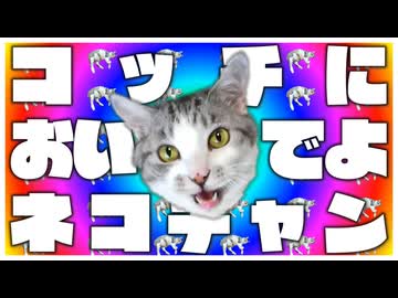 【off vocal】ハングリーハヤシ - コッチにおいでよネコチャン
