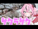 ヒメミコレポート～桜並木と関163～【#岐阜県旅行祭2026プレ#二週間投稿祭】