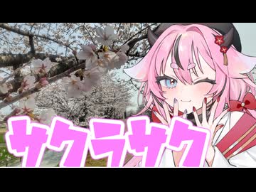 ヒメミコレポート～桜並木と関163～【 #岐阜県旅行祭2026プレ #二週間投稿祭 】