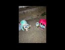 IDK / 重音テトSV