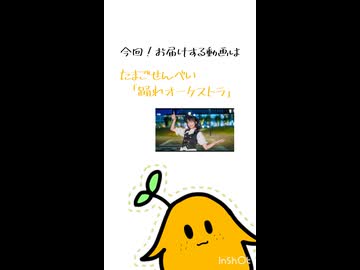 踊ってみた郵便 vol.2【 #踊夢 】