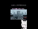 小夜ちと架空都市来訪（GTA4編）
