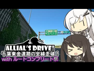 【ルートコンプリート祭】アリドラ！～千葉東金道路走破【CoeFont車載】