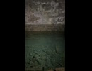 洞窟と水滴