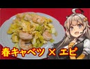 え、春のうちに春キャベツのお料理を！？【春キャベツとエビの卵炒め】
