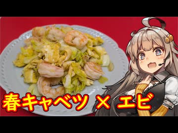 え、春のうちに春キャベツのお料理を！？【春キャベツとエビの卵炒め】