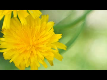 [TRANCE] Mixed by aki 2026/05/07