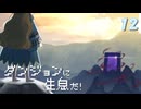 【ダンジョンに生息だ！】一面パープルの世界を目指して　part.12　最終回