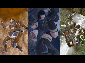 【MHR:S リョナ】カムラノ装 悪臭&水攻め&フルフル拘束 ボイス14