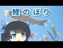 【ふたばこみなと】鯉のぼり【わんぱく☆MAX】