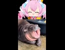 タクヤさんにvtuber